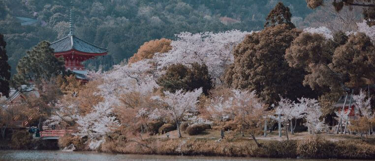 京都 大本山大覚寺 Ⅰ