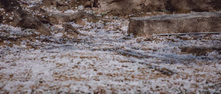 京都 大本山大覚寺 Ⅱ