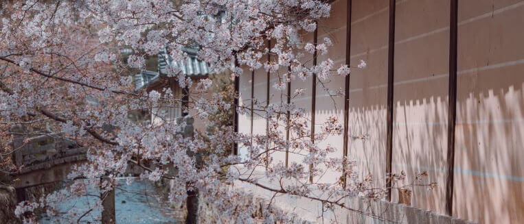 京都 大本山大覚寺 Ⅲ