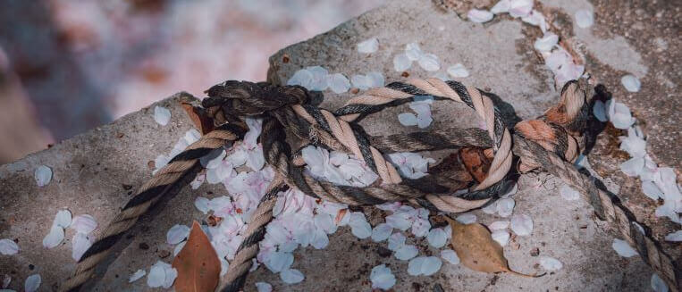 京都 大本山大覚寺 Ⅴ