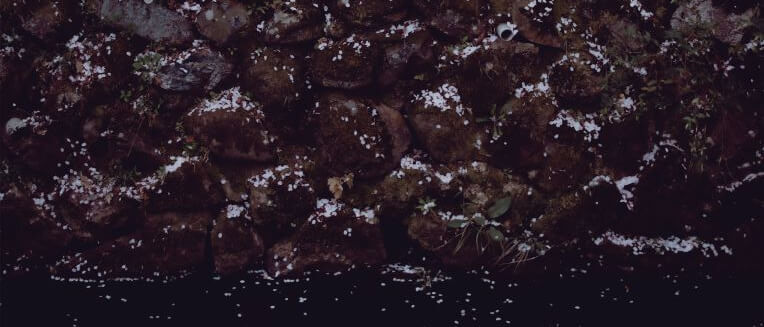 京都 大本山大覚寺 Ⅶ