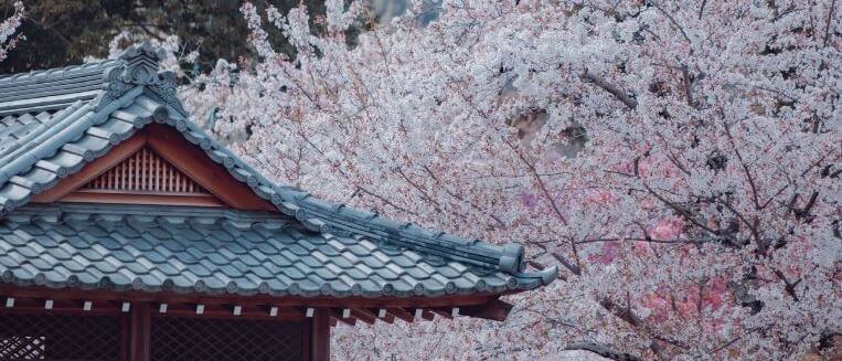 京都 大本山大覚寺 Ⅷ